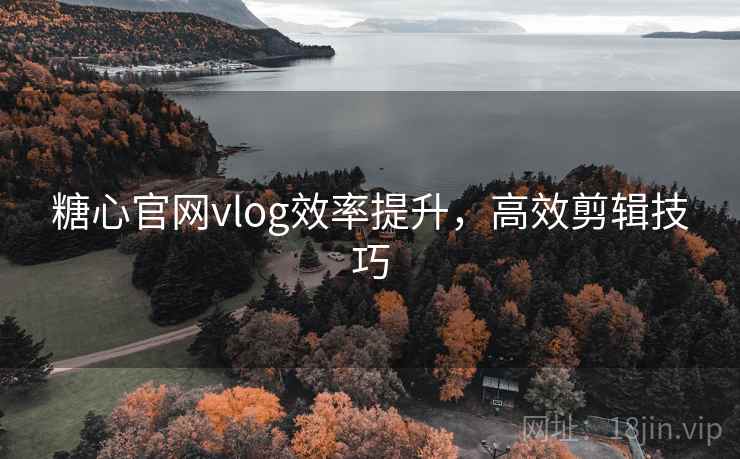 糖心官网vlog效率提升，高效剪辑技巧