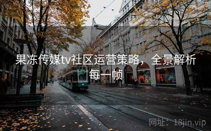 果冻传媒tv社区运营策略,全景解析每一帧